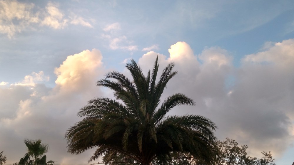 IMG_20171020_182744630_HDR